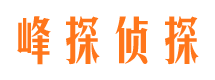 罗山寻人公司